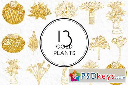 Gold Plants 476252