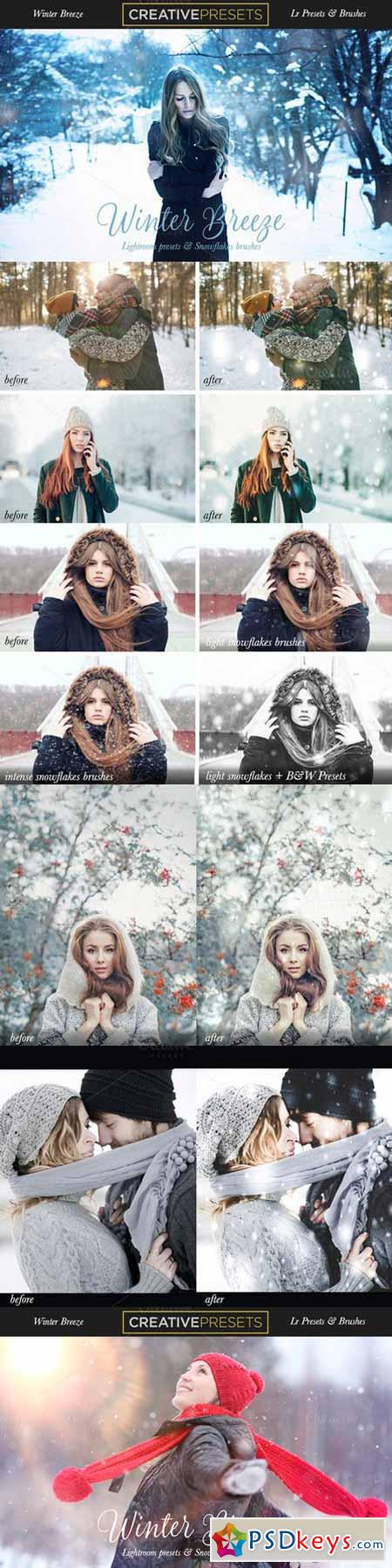 Winter Breeze Lightroom Presets 477322