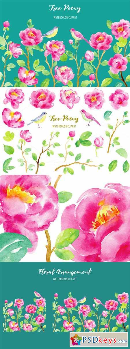 Watercolor Clipart Purple Tree Peony 478779