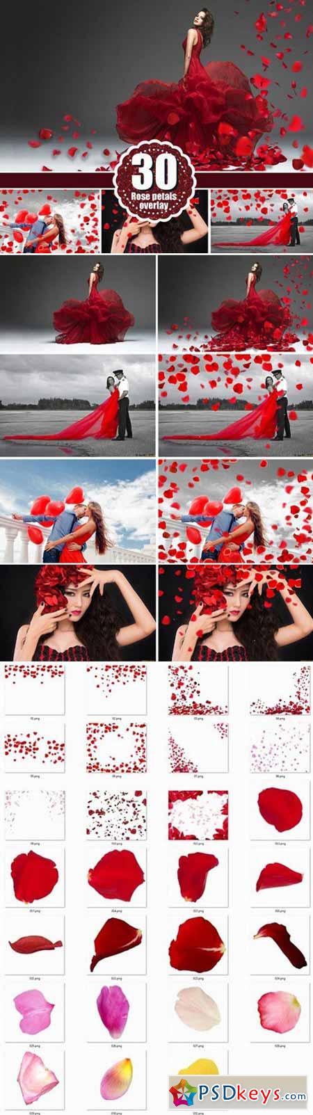 Falling petals photoshop overlays 479281
