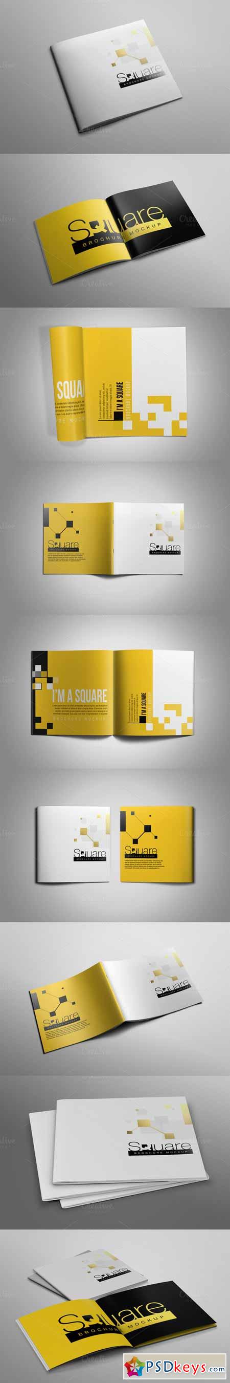 Square Brochure Mockup 479861