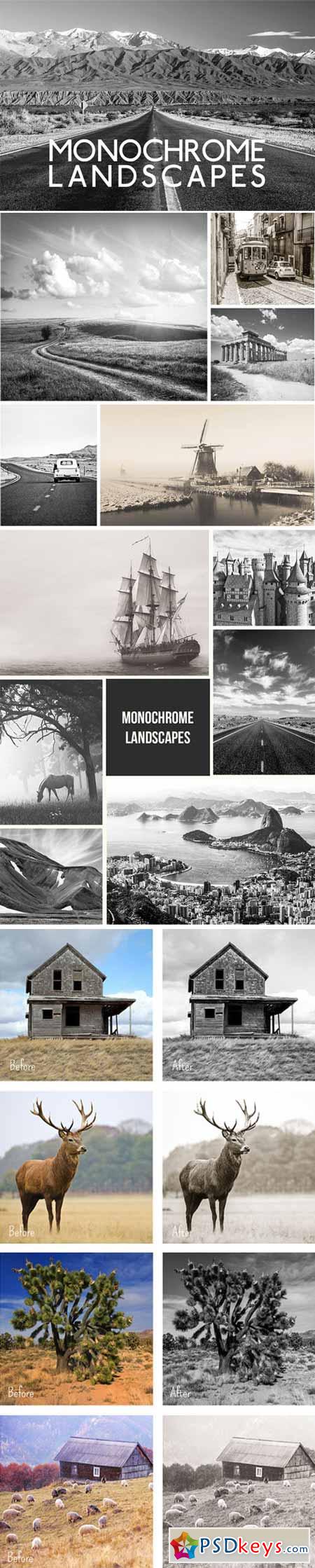 Monochrome Landscape Presets 89502
