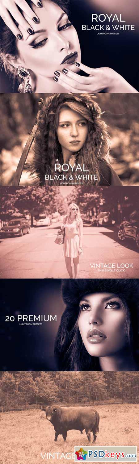 Royal Black&White Lightroom Presets 482165