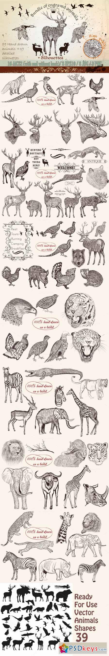 Bundle from vector engraved animals 486410