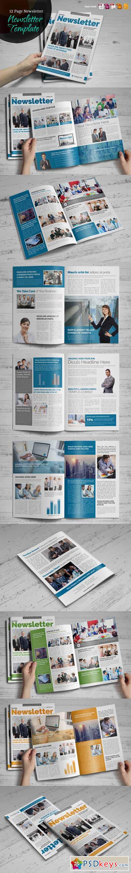 Newsletter Indesign Template v2 485958