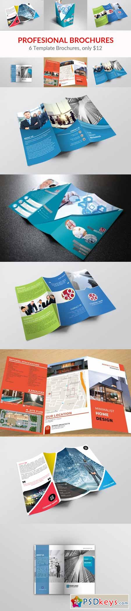 Profesional Brochures Bundle 491708