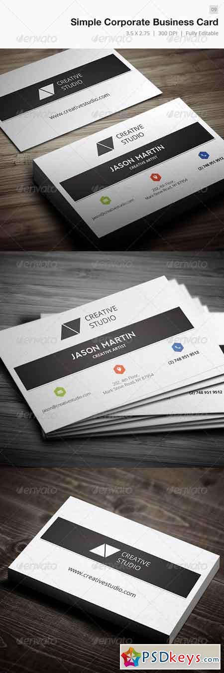 Clean Corporate Business Card - 09 5630552
