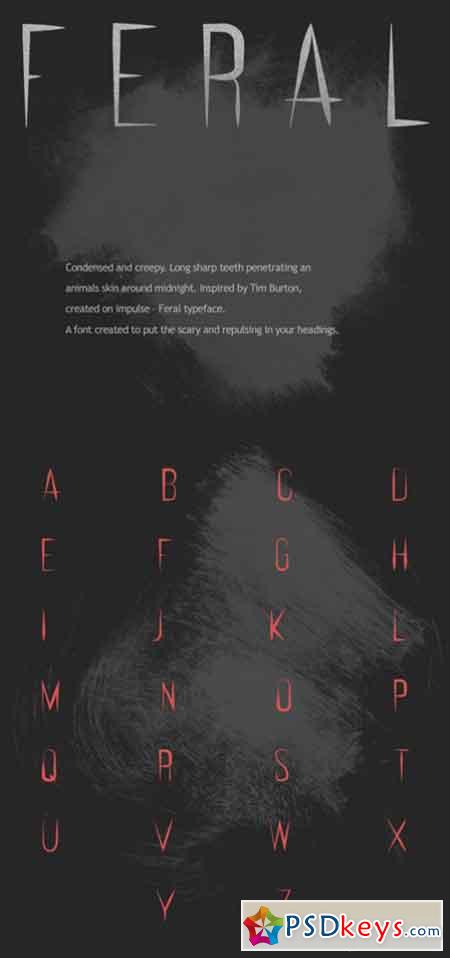 FERAL Typeface