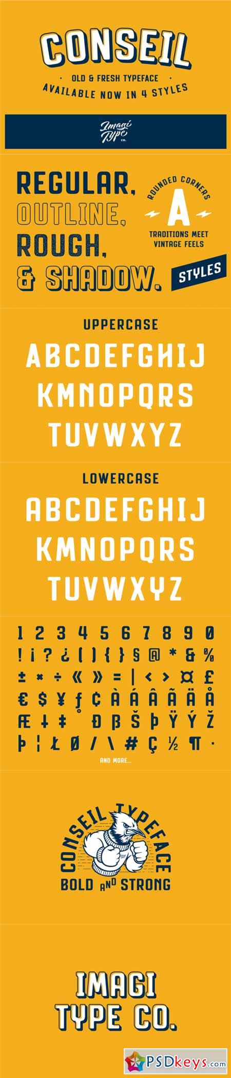 Conseil Typeface 495655