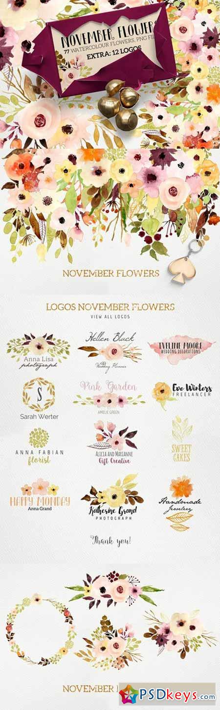 Logos and November Flowers 429313