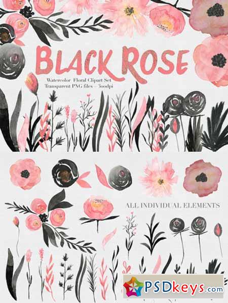 Black & Pink Rose Watercolor Set 515844