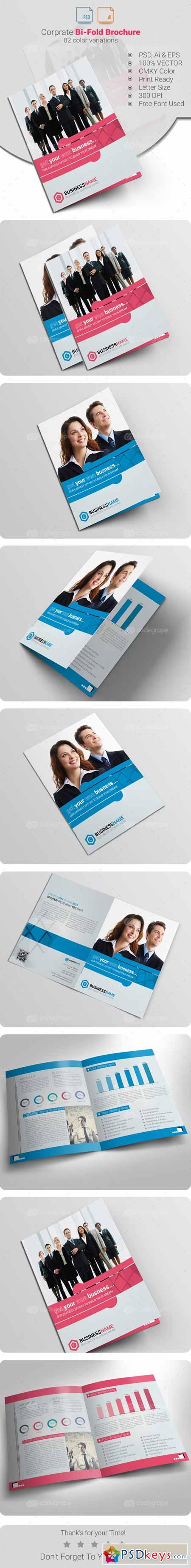 Bi-Fold Brochure 6212