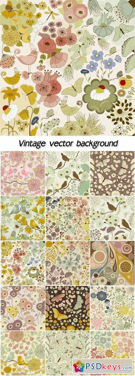 Vintage vector background with flowers, patterns and birds