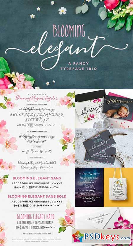 The Blooming Elegant Font Trio 537891 6 FONT! 537891