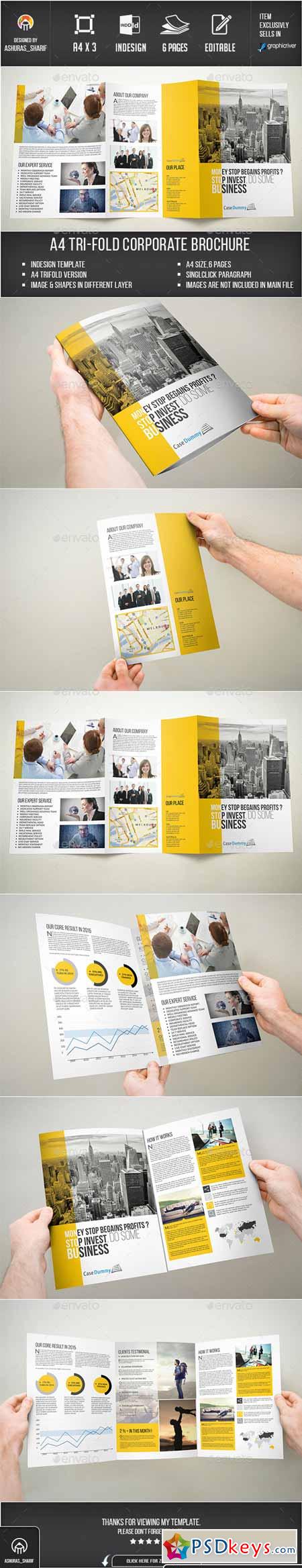 Trifold Brochure 12052915