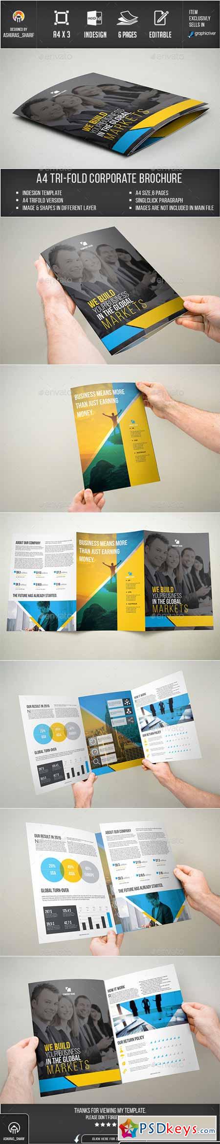 Trifold Brochure 12105018