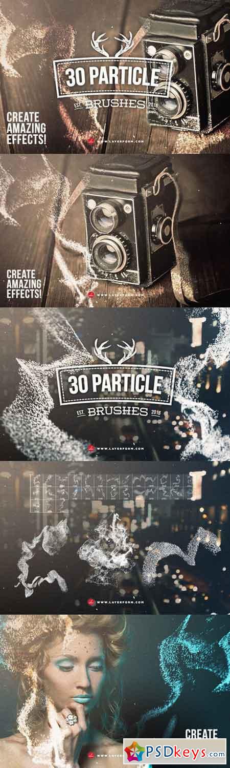 30 Particle Brushes 537136
