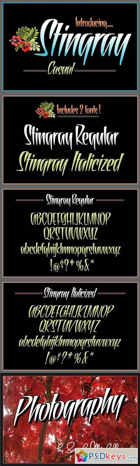 Stingray Casual Display Fonts 537034