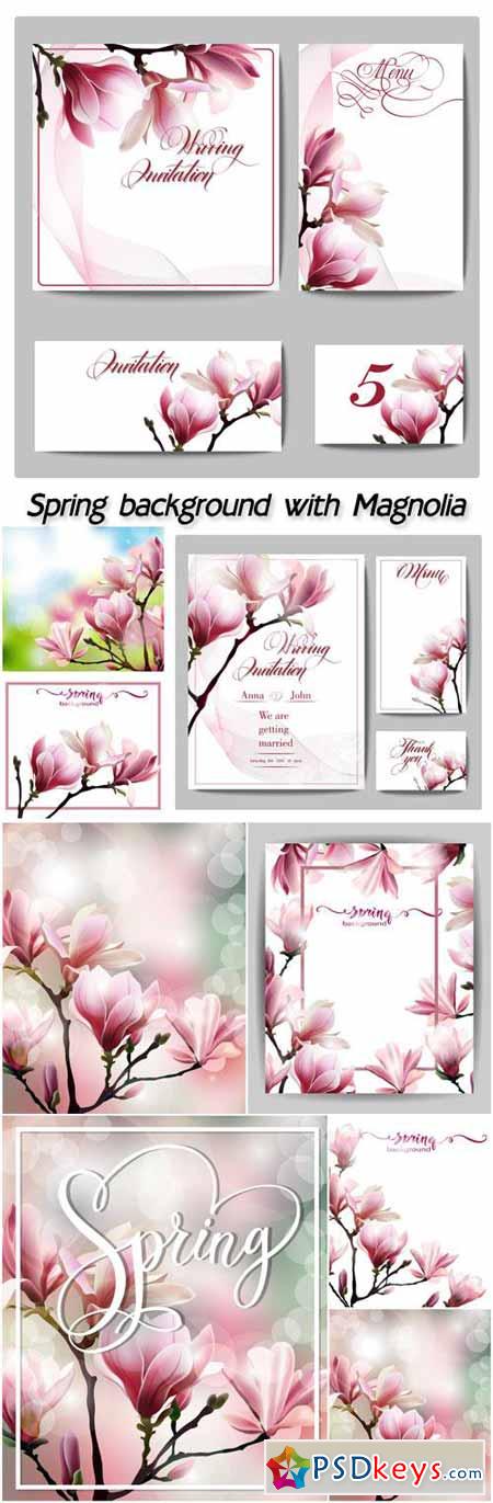 Spring background with blossom of Magnolia