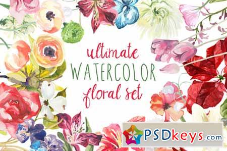 Ultimate Watercolor Floral Set 140002