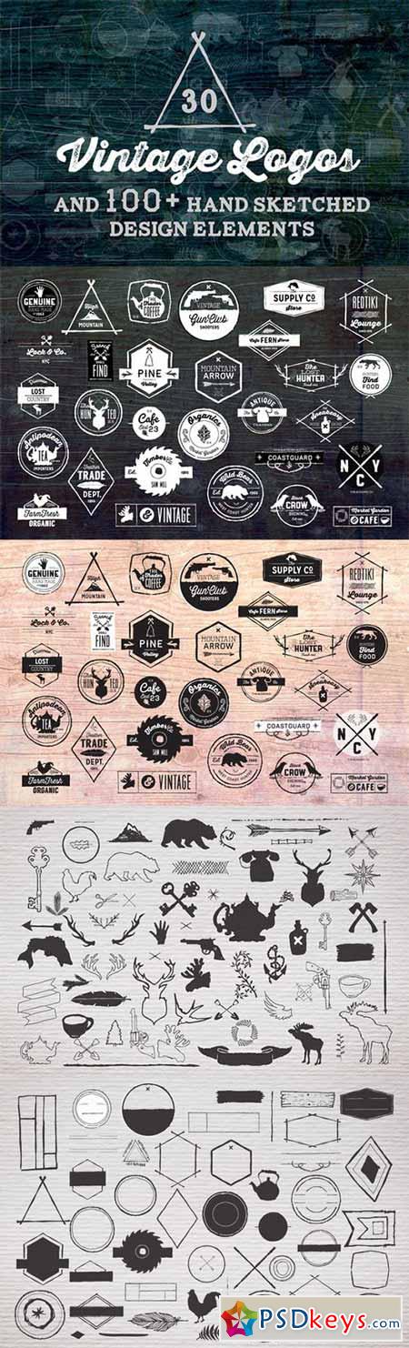 30 Vintage Logos + Design Elements 118068