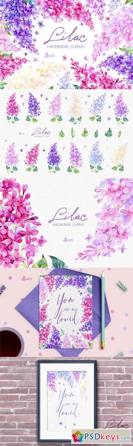 Lilac. Watercolor collection 529891