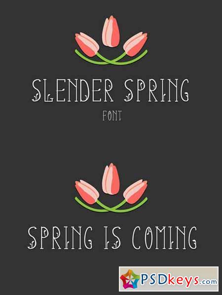 Slender Spring Font 557931