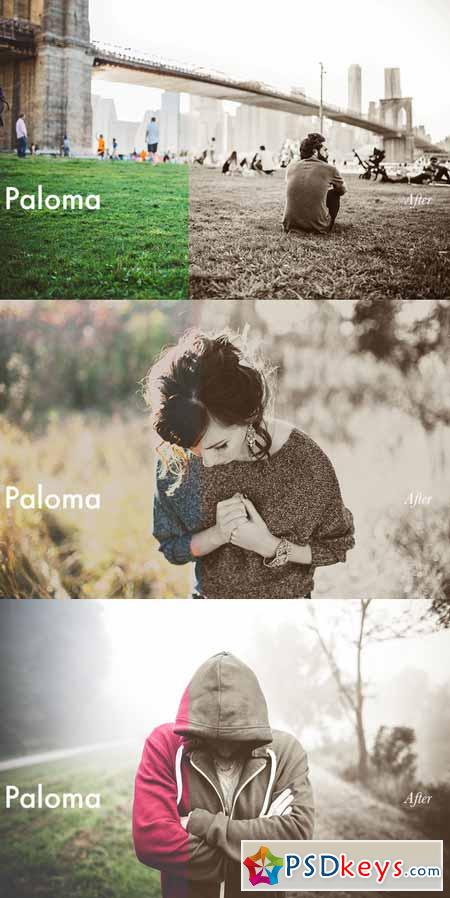 Paloma - Lightroom Preset 4012