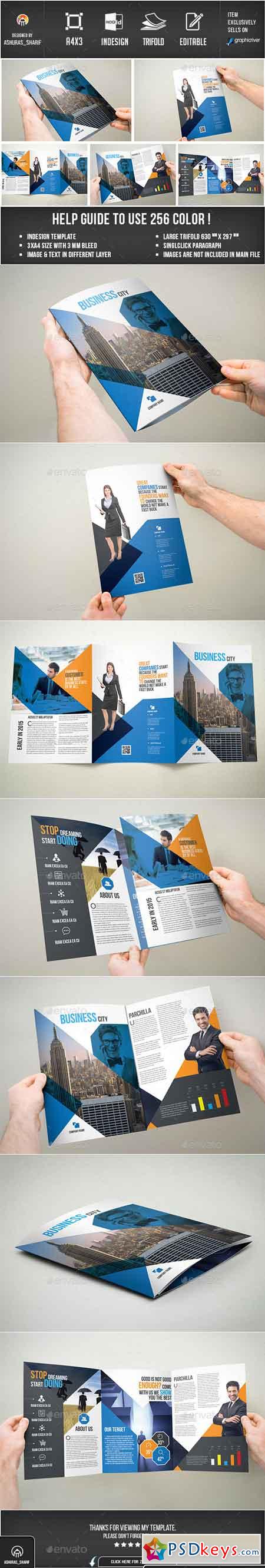 Trifold Brochure 12629322