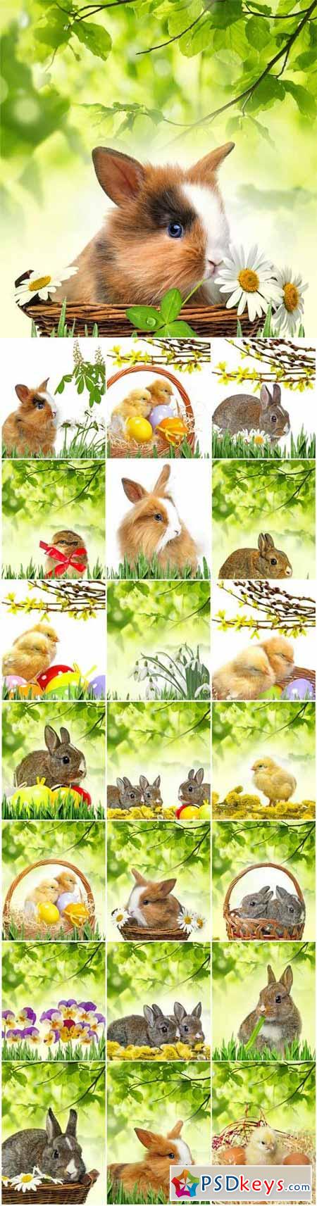 Easter bunny and chickens on a background of green leaves