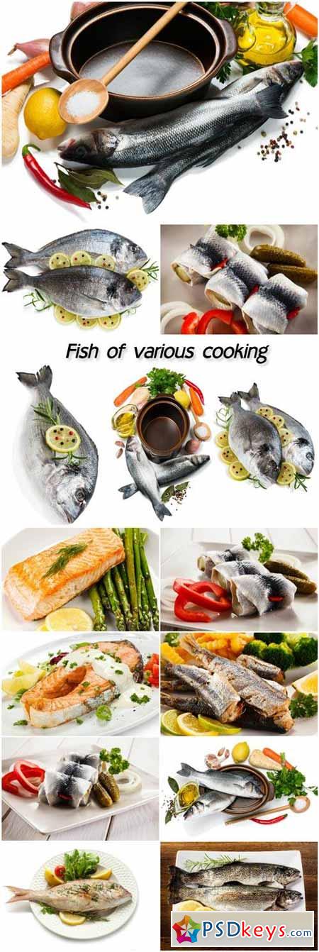 Fish of various cooking