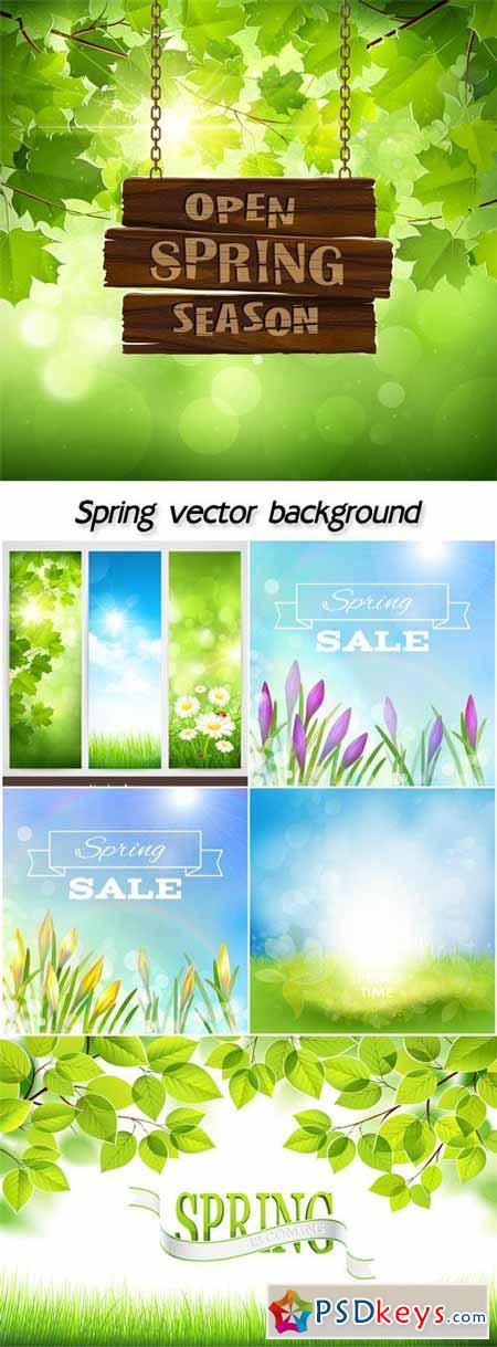 Spring vector background with flowers and leaves