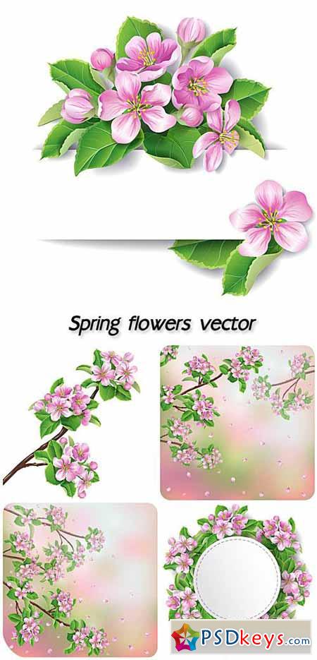 Spring flowers vector and leaves