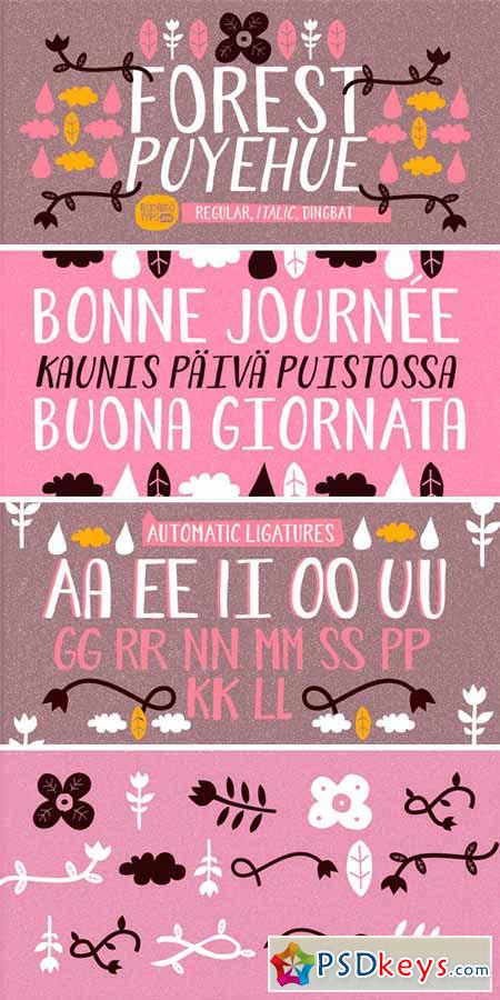 Forest Puyehue Font Family