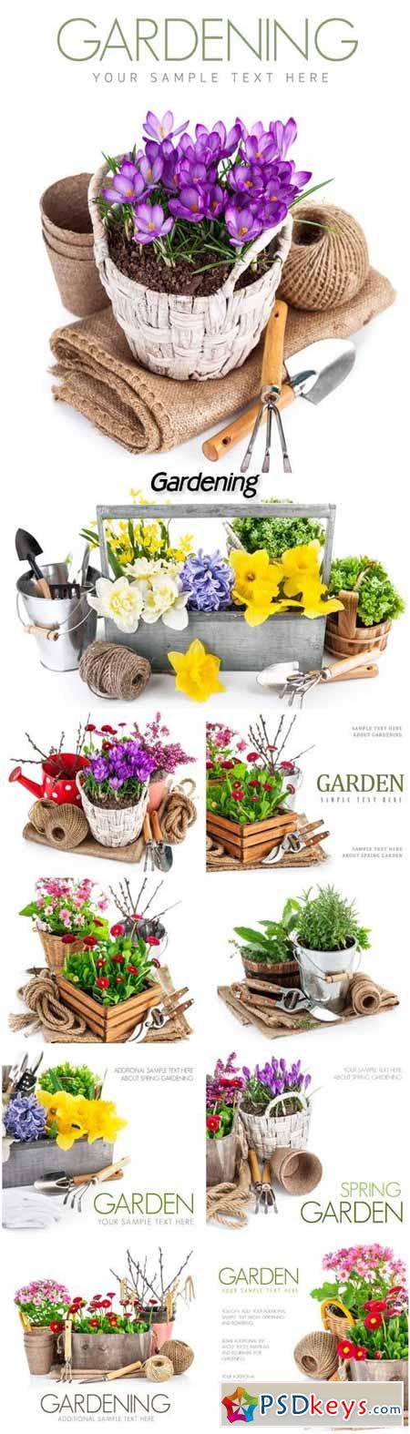 Gardening, flowers and plants