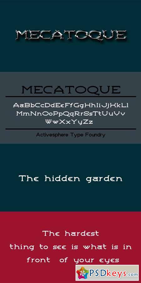 Mecatoque Font Family $51