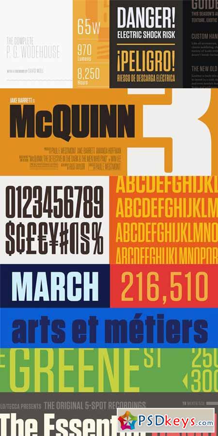 Tungsten Font Family $496