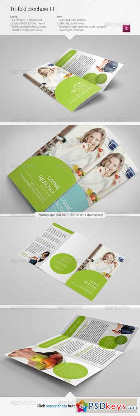 Tri-Fold Brochure 11 5482176