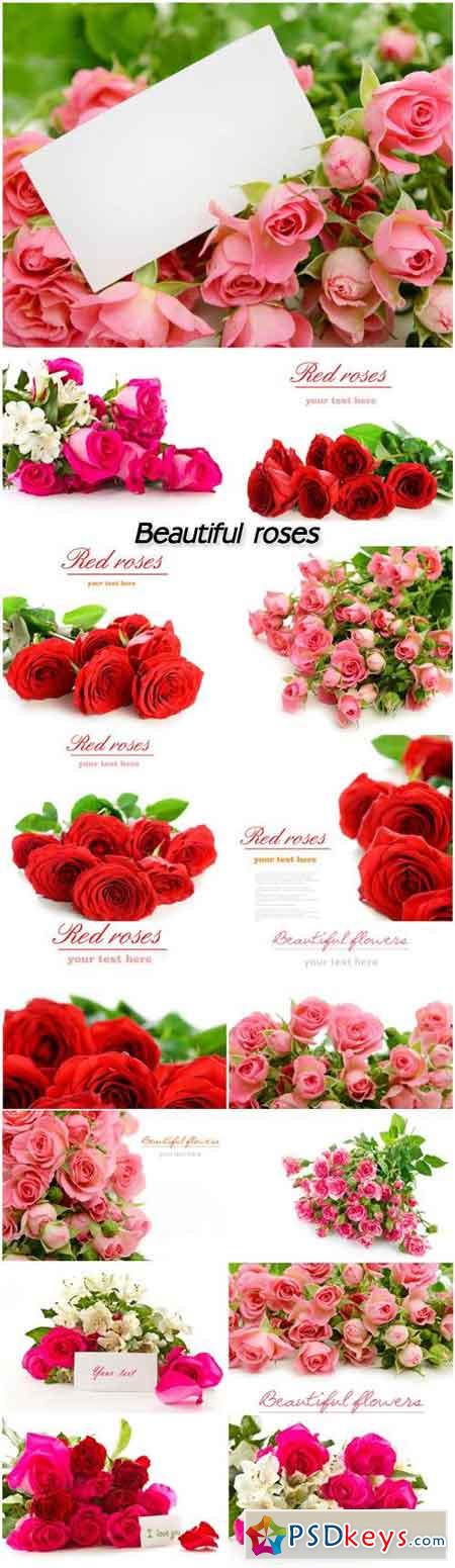 Beautiful roses, flower bouquets