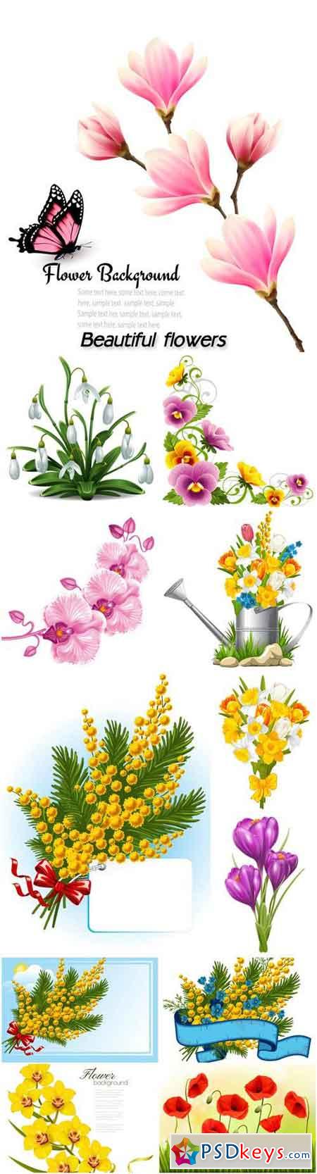 Beautiful flowers, orchids, crocuses, snowdrops, mimosa