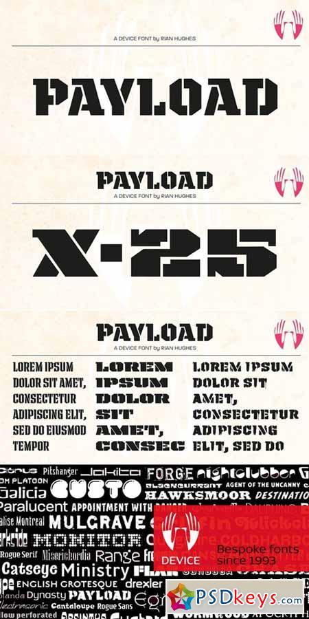 Payload Font Family $179