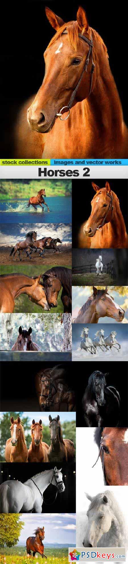 Horses 2, 15 x UHQ JPEG