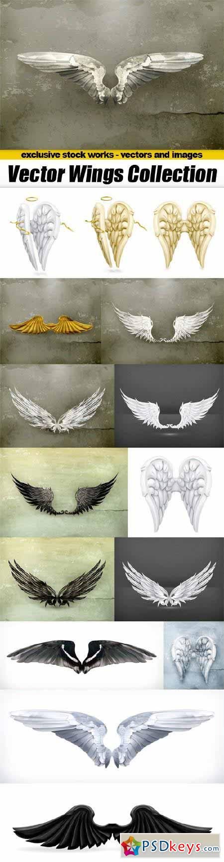 Vector Wings Collection - 15x EPS
