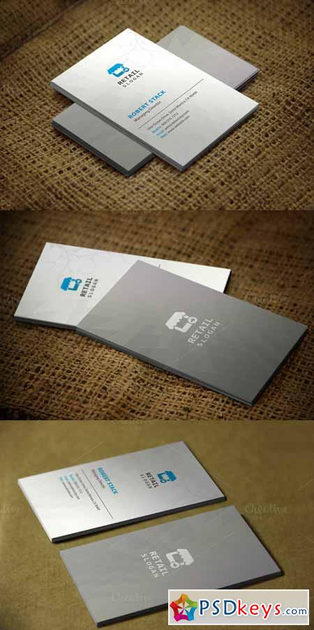Cleanesh Business Card Template 591680
