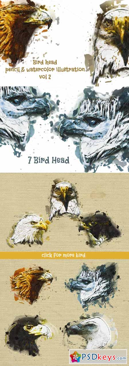 Bird Head Pencil & Watercolor vol 2 580639