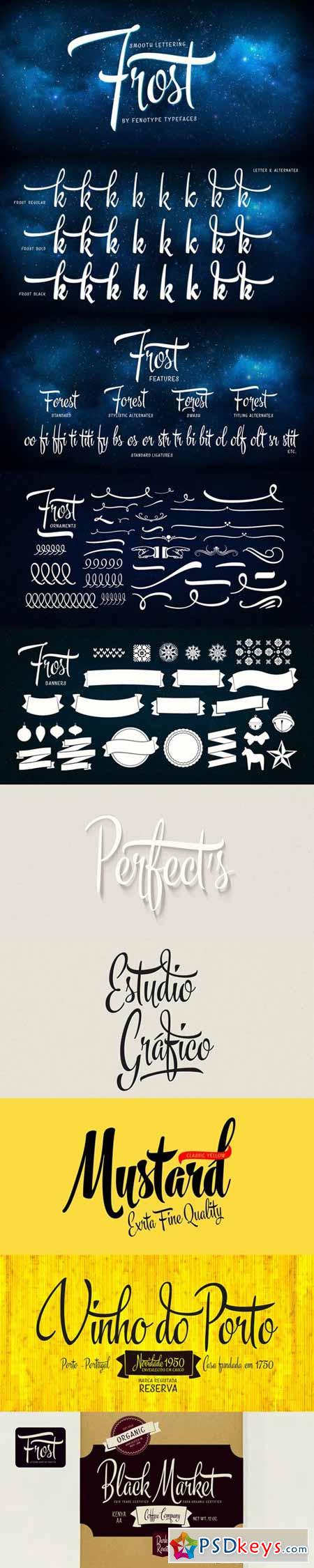Frost Font Family $69