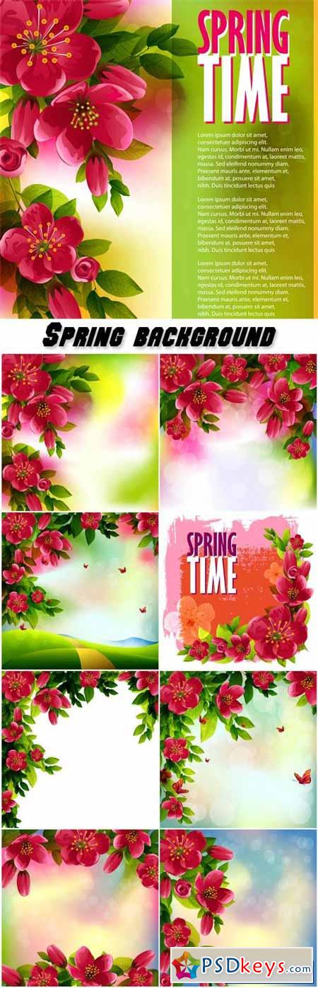 Spring vector background, cherry blossom