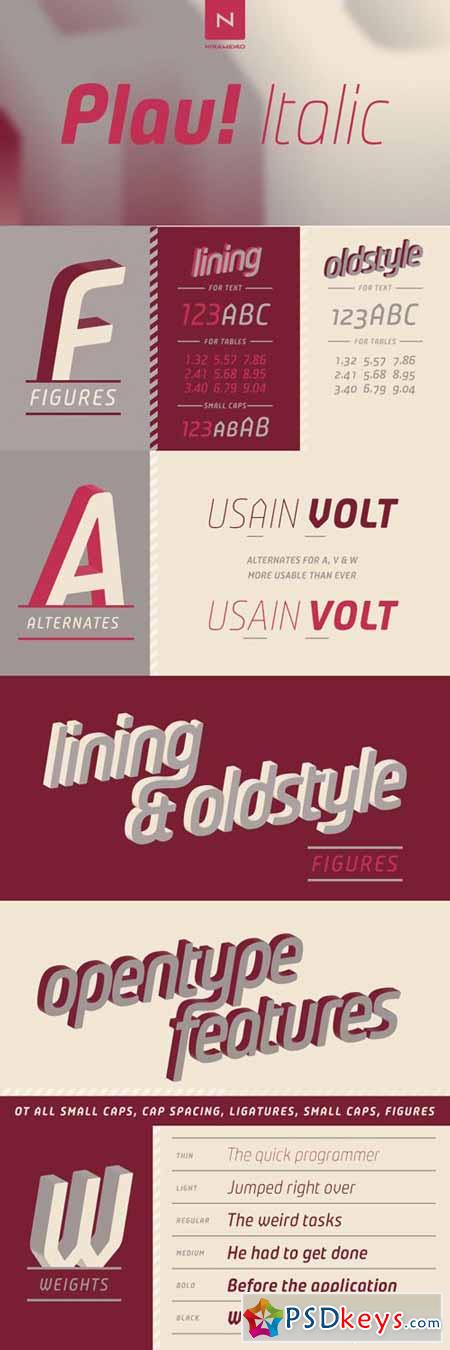 Plau Italics Font Family $89