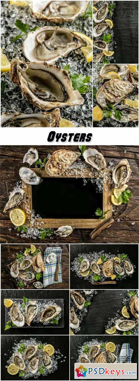 Oysters served on wood with blackboard