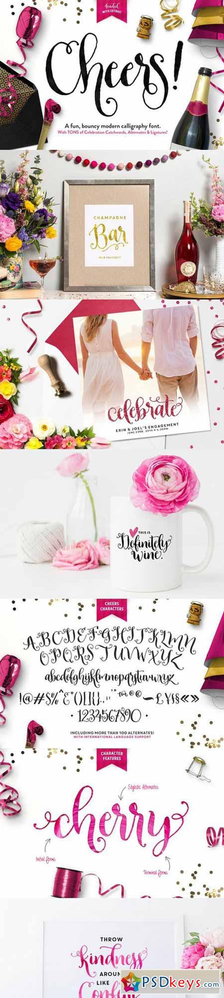 Cheers Font & Graphics Pack 620531